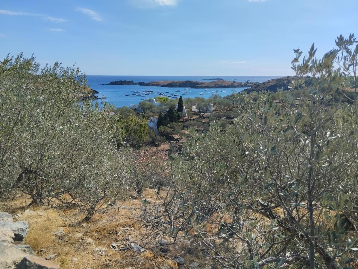 Atico Of 3 Rooms, Total 130M² Just For You With A 60 M² Terrace, Swimming Pool, Mountain And Marina View. Росес Екстериор снимка